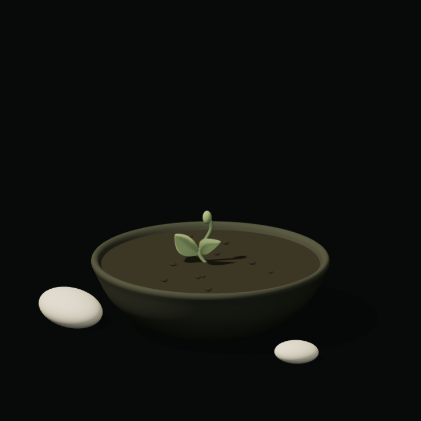 A young sprout in a charcoal ceramic bowl, beside two pale stones.